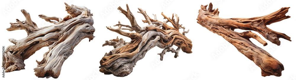 pieces of driftwood, on a transparent background, Generative AI pieces of driftwood, on a transparent background, Generative AI