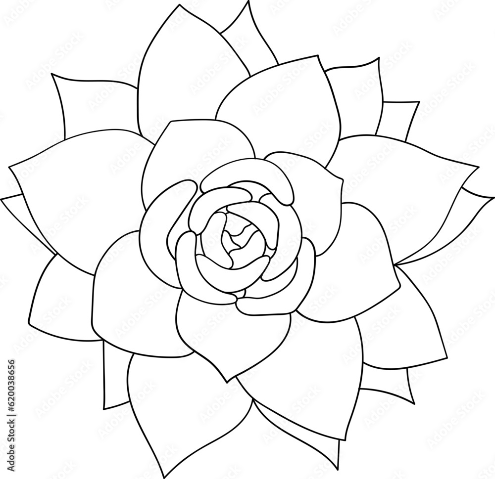 Succulents Outline Succulents Outline