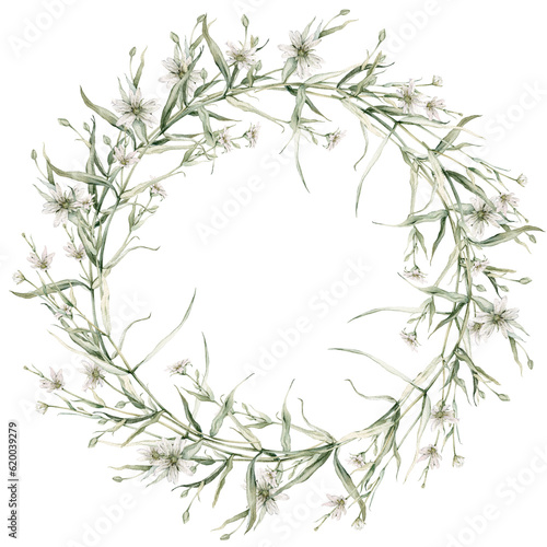 Fototapeta Naklejka Na Ścianę i Meble -  Wreath of white flower meadow, forest flowers. Rabelera holostea, syn. Stellaria holostea.Watercolor hand painting illustration on isolate. , circlet of flowers
