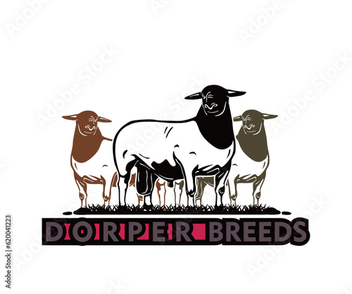 dorper breeds sheep logo, silhouette of great sheep standing vector illustrations