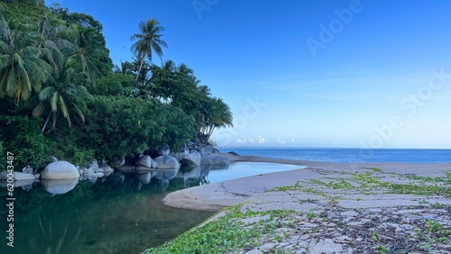 beach with palm trees, near the lake at Samadua, South Aceh, Indonesia 