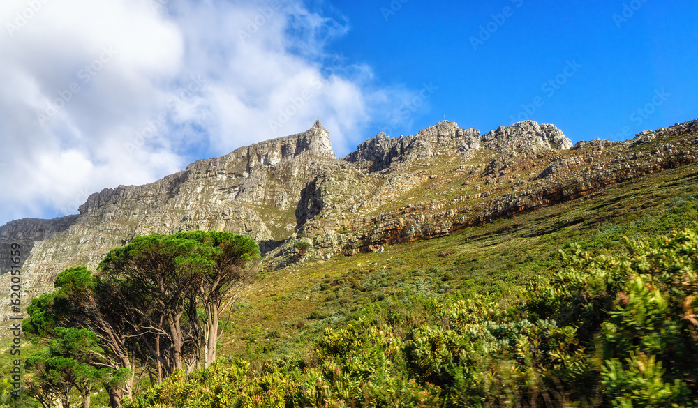 Cape Town, Table Mountain landscape, South Africa