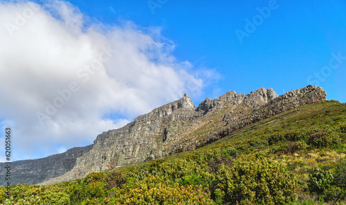 Cape Town  Table Mountain landscape  South Africa