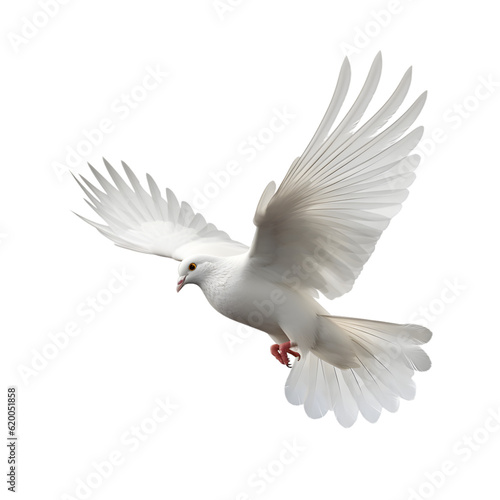 Dove isolated transparent background png Generative AI © Nopadol