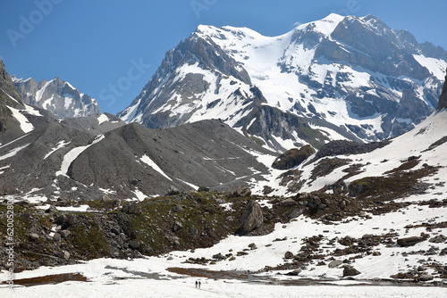 The lac des Vaches (Vaches lake) covered with snow, Vanoise National Park, Northern French Alps, Tarentaise, Savoie, France, and surrounded by mountains and glaciers (Grande Casse summit)