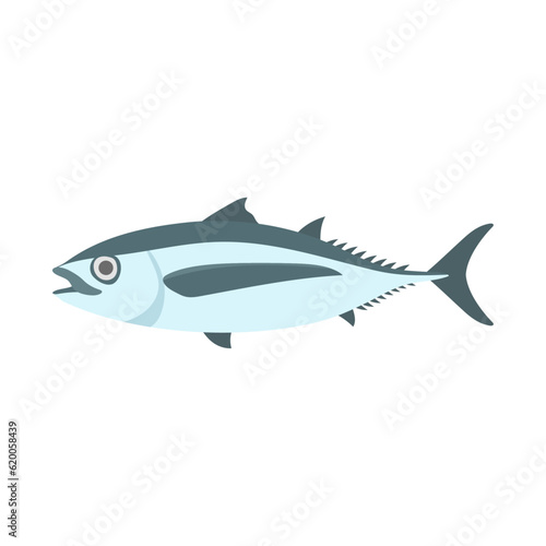 ビンナガマグロ（ビンチョウマグロ）。フラットなベクターイラスト。
Albacore.  Flat designed vector illustration.
