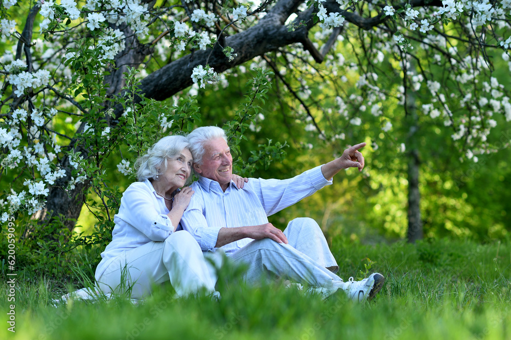 Fototapeta premium Happy senior couple in love. Park outdoors.