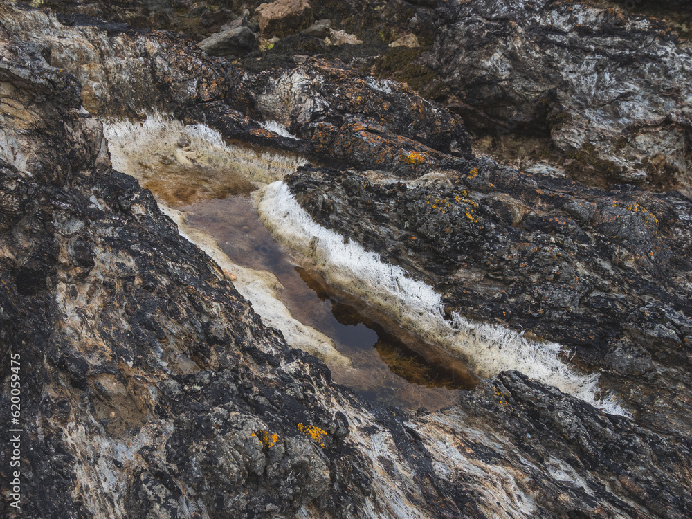 Gutweed seaweed salt in a rockpool