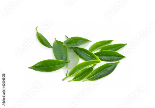 tea leaves with white background MADE OF AI