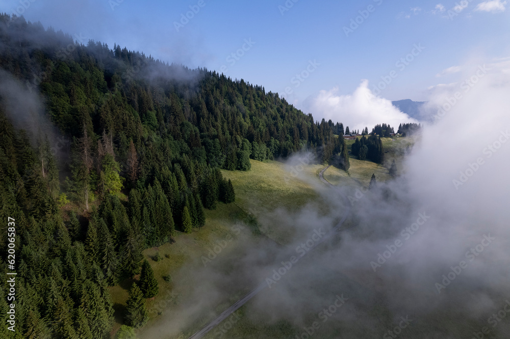 Aerial of mountain slope with green meadows and pine tree divide with cloud obscuring half of the scenery. Picturesque weather condition scenic natural atmosphere. Breathing air.