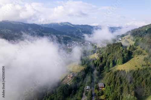 Aerial valley view of mountain slope with green meadows and pine tree divide with cloud passing half of the scenery seen from above. Picturesque weather condition scenic natural atmosphere. 