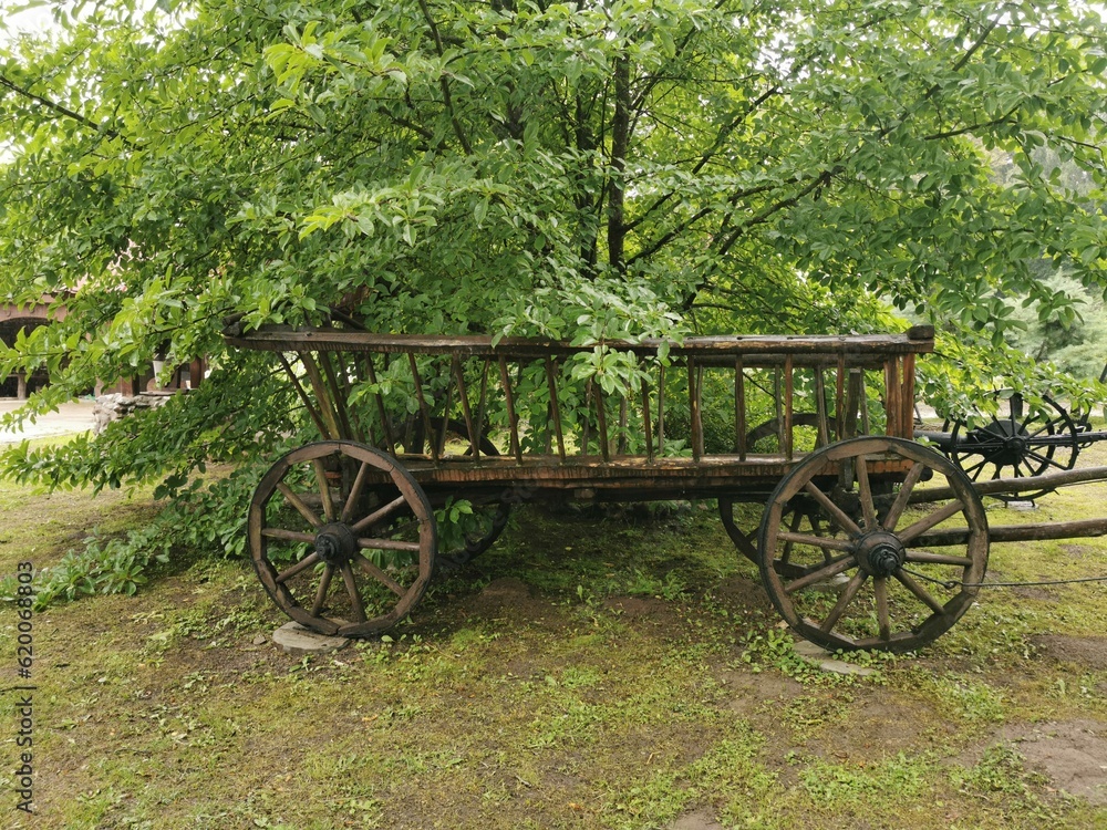 An old vintage cart surrounded by trees and shrubs. Beautiful pastoral, rustic background.