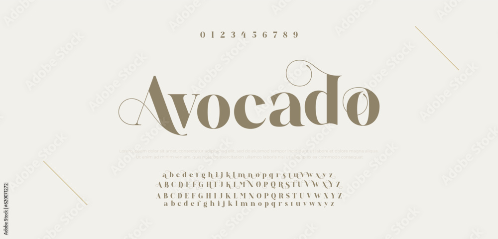 Elegant alphabet letters font and number. Typography luxury classic lettering serif fonts decorative for logo wedding vintage retro concept. vector illustration. Elegant alphabet letters font and number. Typography luxury classic lettering serif fonts decorative for logo wedding vintage retro concept. vector illustration.