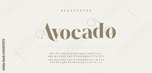 Elegant alphabet letters font and number. Typography luxury classic lettering serif fonts decorative for logo wedding vintage retro concept. vector illustration.