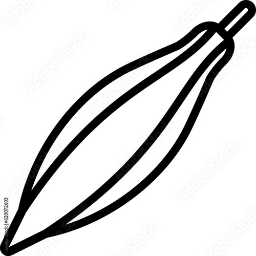 Okra