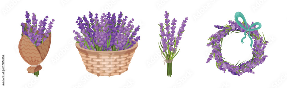 Bunch of Violet Lavender Twigs Wrapped, in Wreath and Basket Vector Set