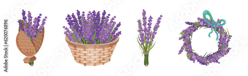 Bunch of Violet Lavender Twigs Wrapped, in Wreath and Basket Vector Set