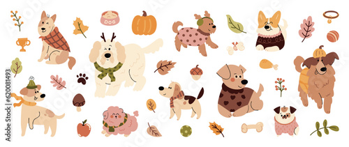 Photography Set of cute animal vector