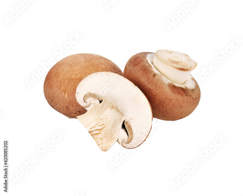 Brown champignon mushroom transparent png