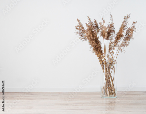 Stylish modern dry grass bouquet in glass vase on a wooden light floor in room in Scandinavian style. Art deco, boho gift for anniversary, birthday, mother's day.