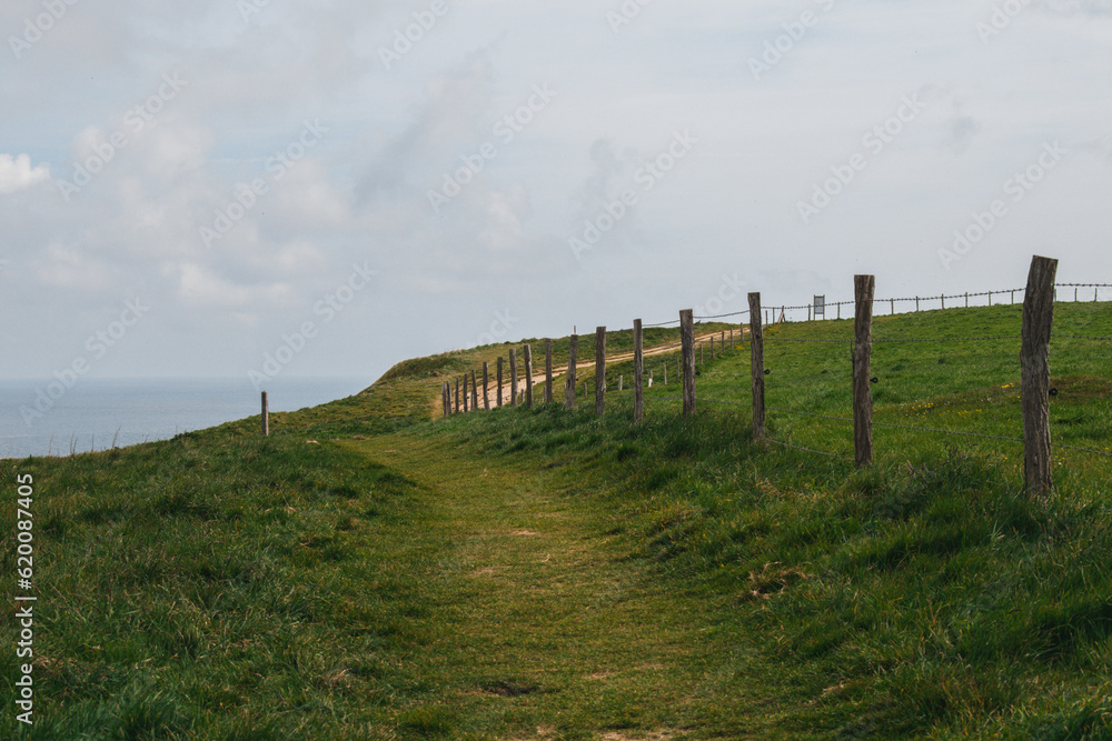 Cliff path and field in the summer in normandy France