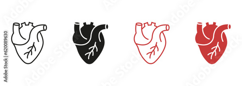 Fotografia Human Heart, Cardiac Muscle Line and Silhouette Color Icon Set
