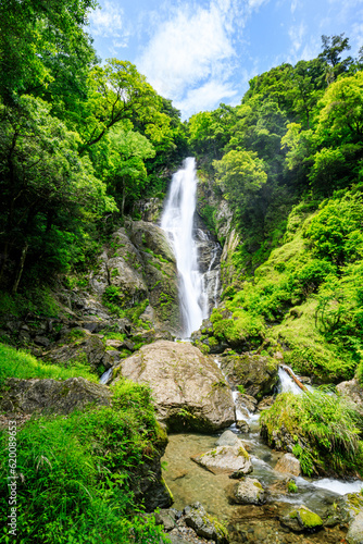 初夏の栴檀轟の滝 熊本県八代市 Sendan Todoro Falls in early summer. Kumamoto Pref, Yatsushiro City.
