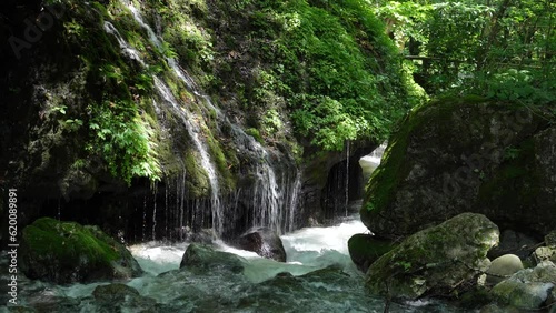 玉垂のように見える繊細な表情の滝の情景