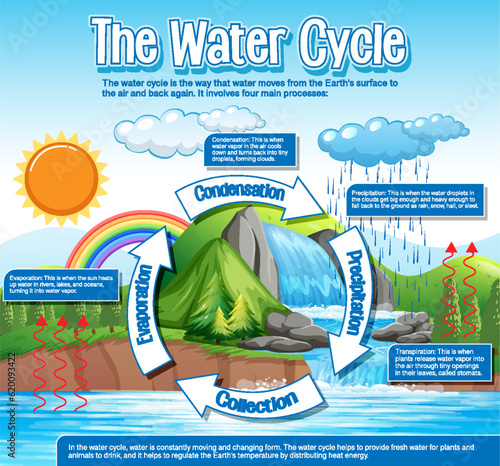 The water cycle diagram for science education