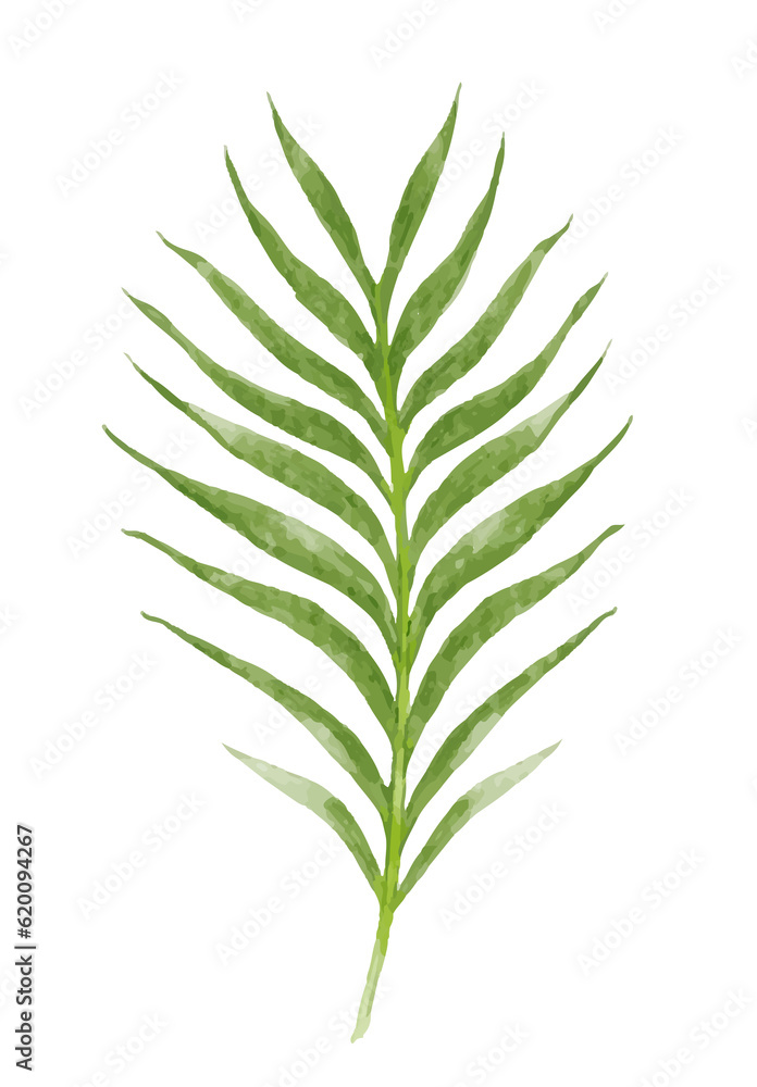 tropical leaves watercolor tropical leaves watercolor