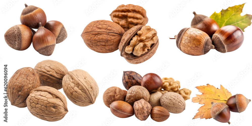 Set isolated on a transparent background of autumn plants and fruits. Generative AI. Set isolated on a transparent background of autumn plants and fruits. Generative AI.