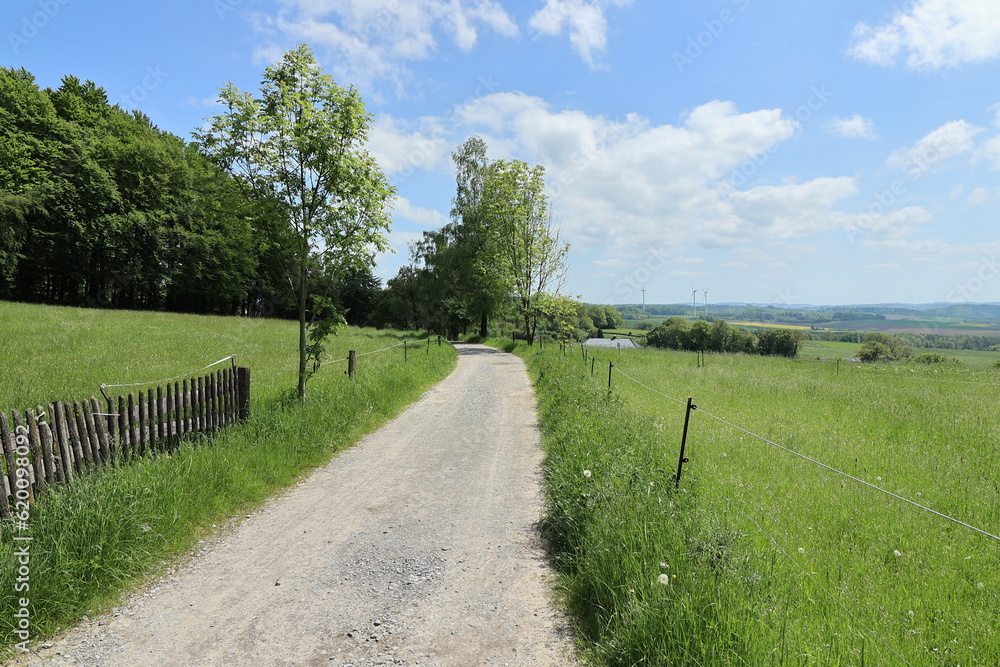 Schöner Frühsommertag im Wald der Stadt Balve im Sauerland