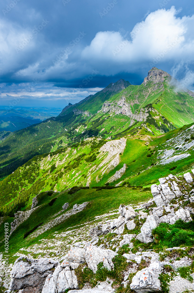 Obraz premium Summer landscape of the Belianske Tatras. Tatra National Park, Slovakia. The Mount Havran and Zdiarska Vidla.