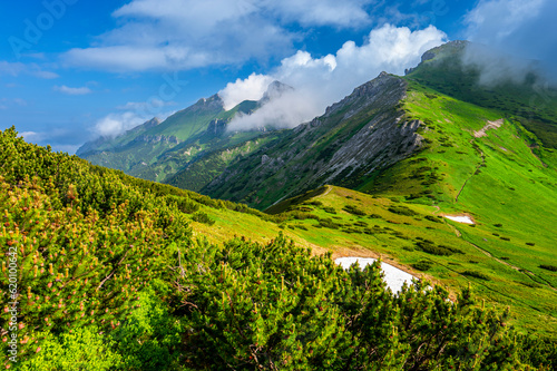 Summer landscape of the Belianske Tatras. Tatra National Park, Slovakia. The Mount Havran and Zdiarska Vidla.