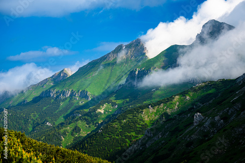 Summer landscape of the Belianske Tatras. Tatra National Park, Slovakia. The Mount Havran and Zdiarska Vidla. photo