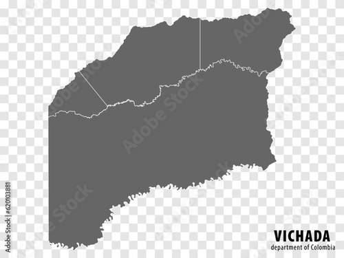 Blank map Vichada Department of Colombia. High quality map Vichada  with municipalities on transparent background for your web site design, logo, app, UI. Colombia.  EPS10. photo