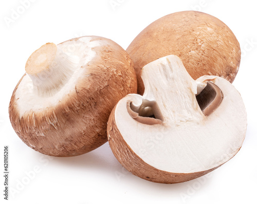 Brown cap champignons or agaricus mushrooms isolated on white background. Close-up. photo