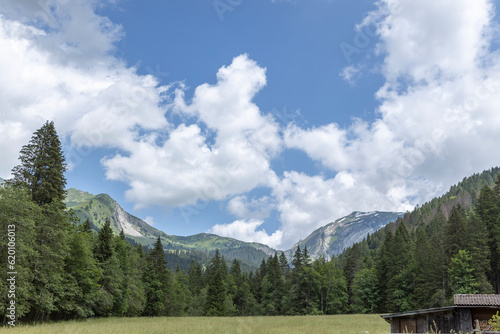 Morzine valley with spectacular nature of French Alps mountain range during summer against blue sky with clouds