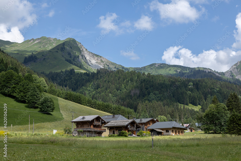 Morzine valley with spectacular nature of French Alps mountain range during summer against blue sky with clouds Morzine valley with spectacular nature of French Alps mountain range during summer against blue sky with clouds