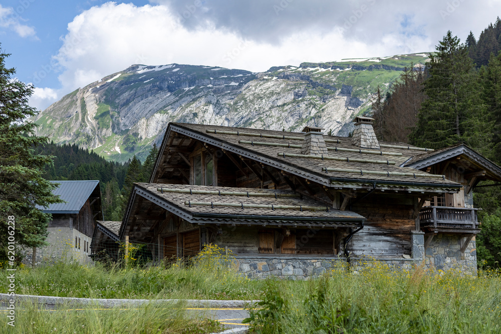 Winter venue in Morzine valley with spectacular nature of French Alps mountain range during summer against blue sky with clouds Winter venue in Morzine valley with spectacular nature of French Alps mountain range during summer against blue sky with clouds