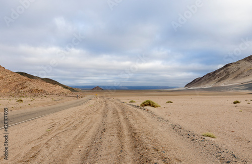 En route to El Peñon - wild nature in the Puna highlands in Argentina, South America