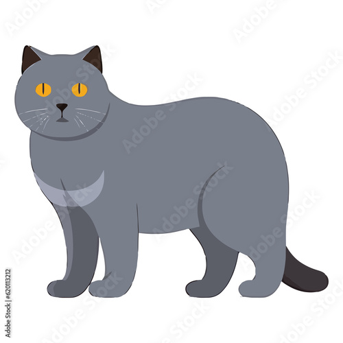 Purrfectly Illustrated  2D Chartreux Cat Delight