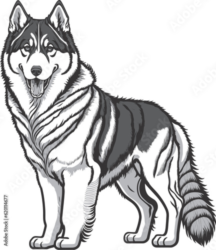 Vector dog outline,  Alaskan Malamute