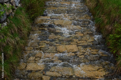 View of beautiful stream flowing on path covered with natural stones