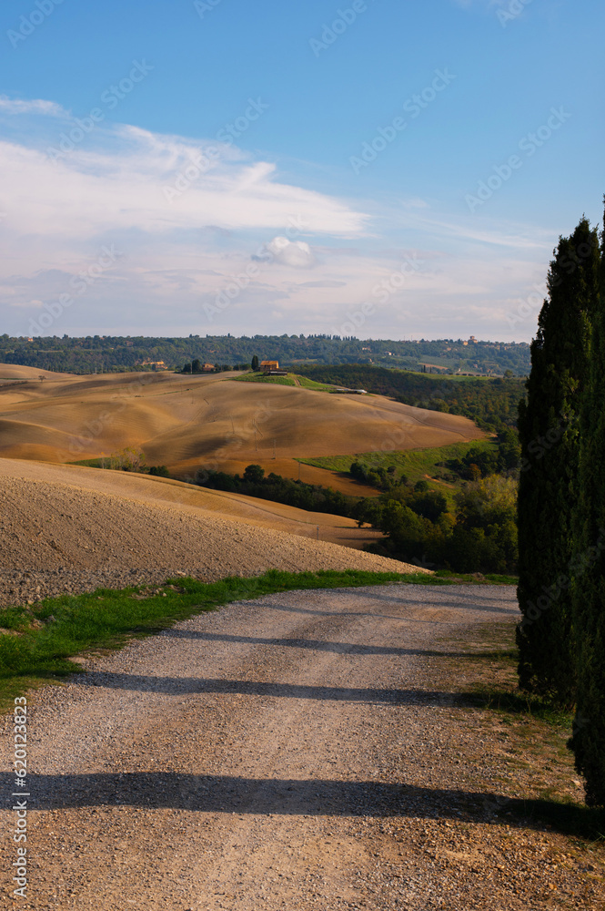 Fototapeta premium Beautiful authentic Italian tuscan landscape. Road among the fields and cypress trees in autumn. Tuscany, Italy.