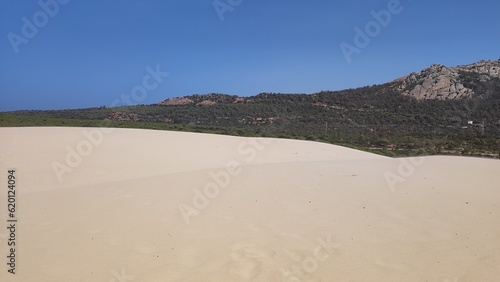 Sand in the dunes of Tarifa .