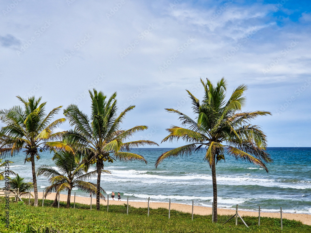 Imbassai beach, Bahia, Brazil. Beautiful beach in the northeast with a river and palm trees.