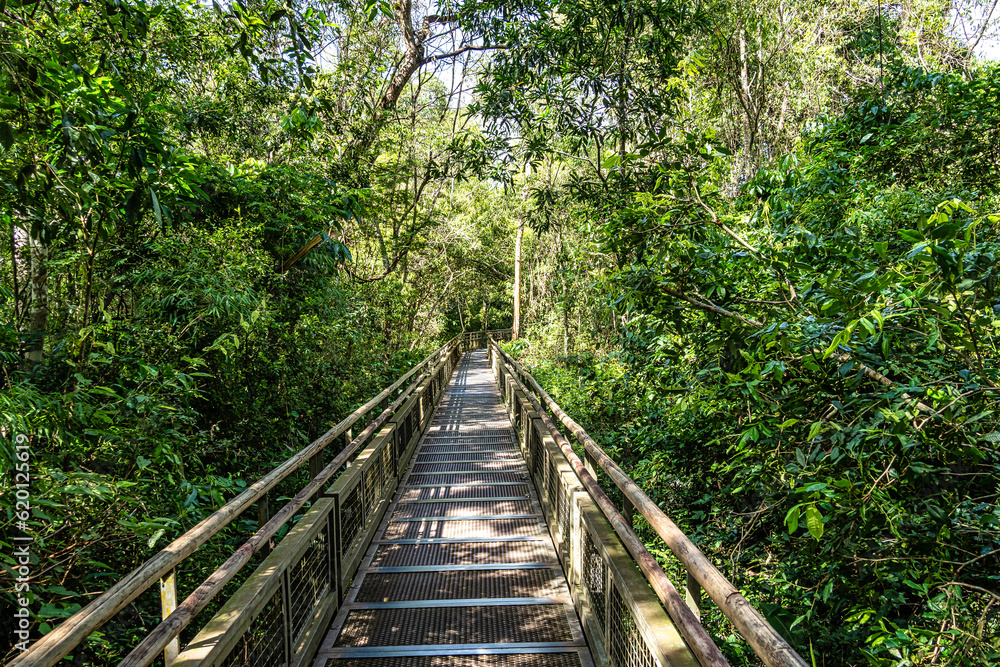 Path at Iguazu Falls, the largest series of waterfalls of the world, located at the Brazilian and Argentinian border Path at Iguazu Falls, the largest series of waterfalls of the world, located at the Brazilian and Argentinian border
