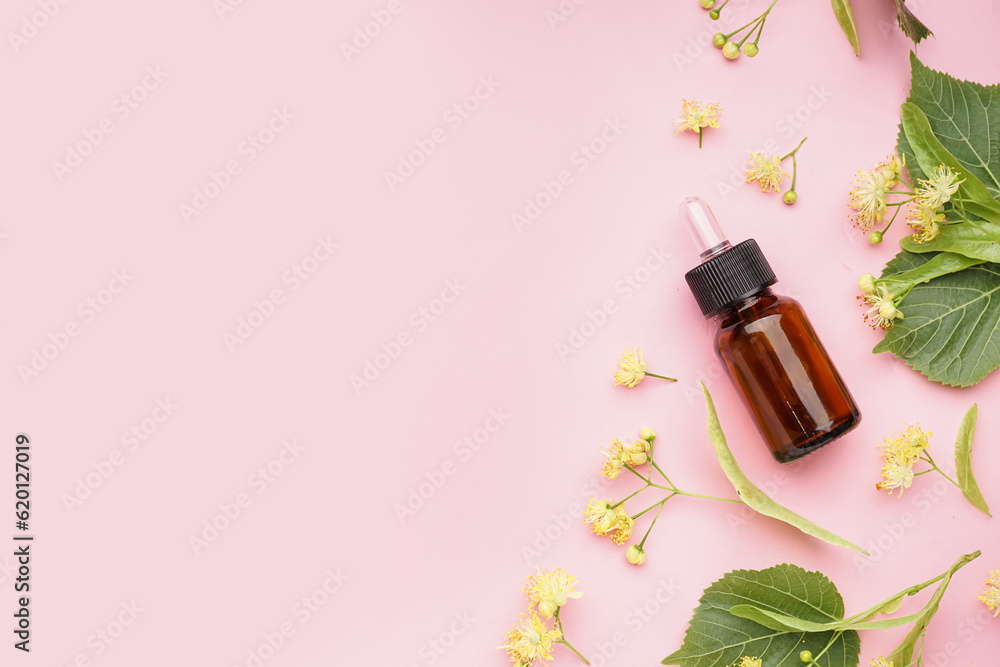 Bottle of essential oil and fresh linden flowers on pink background Bottle of essential oil and fresh linden flowers on pink background