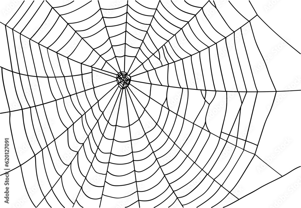 Obraz premium Halloween Spider Web